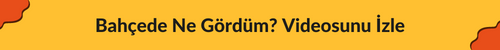 Etkinlik videosu