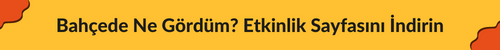 etkinlik sayfası 